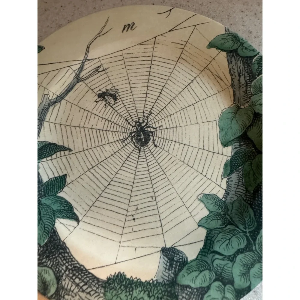 John Derian Spider Web Plate Set  Halloween Appetizer Gothic Decor Melamine